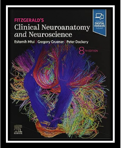 fitzgerald's clinical neuroanatomy and neuroscience pdf