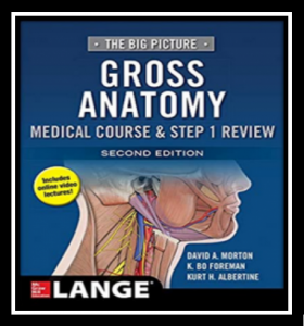 The Big Picture Gross Anatomy Medical Course & Step 1 Review 2nd Edition PDF