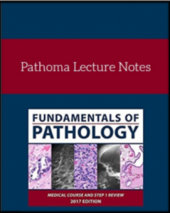 pathoma lectures notes pdf