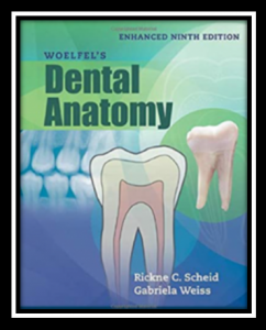 woelfel's dental anatomy pdf