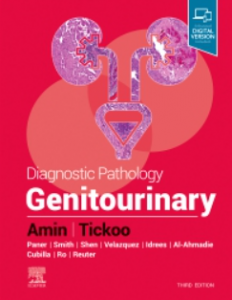 Diagnostic Pathology Genitourinary 3rd Edition pdf
