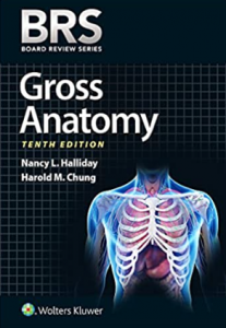 BRS Gross Anatomy 10th Edition PDF