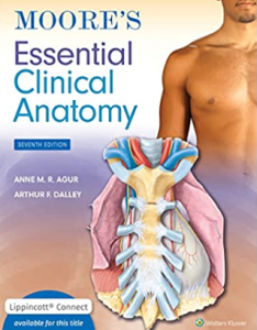 essential of clinical anatomy pdf
