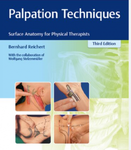 Palpation Techniques: Surface Anatomy for Physical Therapists 3rd Edition pdf 