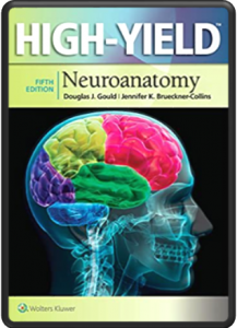 High-yield Neuroanatomy 5th Edition PDF