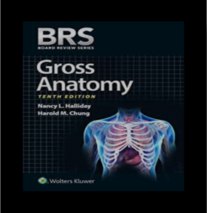 BRS Gross Anatomy 10th Edition PDF