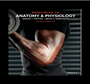 Principles of Anatomy and Physiology PDF