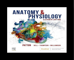 Patton Anatomy & Physiology PDF