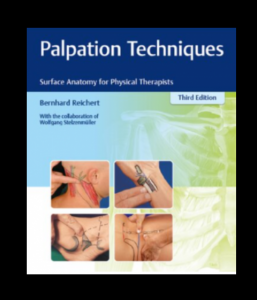 Palpation Techniques: Surface Anatomy for Physical Therapists 3rd Edition pdf