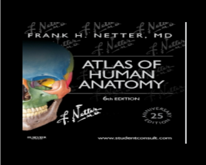 netter's atlas of human anatomy pdf
