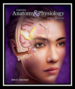 Exploring Anatomy and Physiology on the Laboratory 3rd Edition PDF