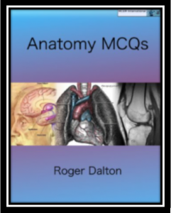 Anatomy MCQs PDF