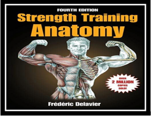 Strength Training Anatomy PDF