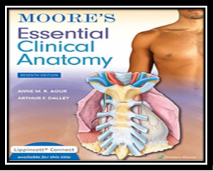 Moore's Essential Clinical Anatomy 6th Edition PDF