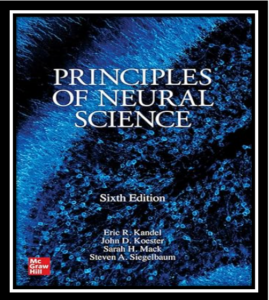 Principles of Neural Science 6th Edition PDF