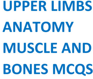 Human Upper Limbs Bones Muscle Anatomy Quick Review and MCQS with Answer Key