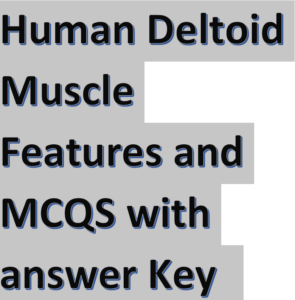 Human Deltoid Muscle Features and MCQS with answer Key