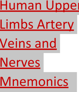 Human Upper Limbs Artery Veins and Nerves Mnemonics