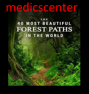 The 40 Most Beautiful Forest Paths in the World pdf