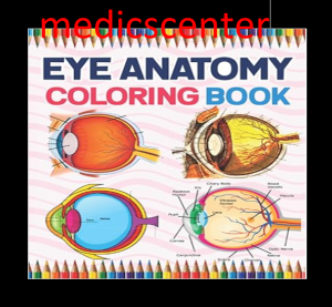 Eye Anatomy Coloring Book