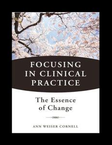 Focusing in Clinical Practice: The Essence of Change PDF